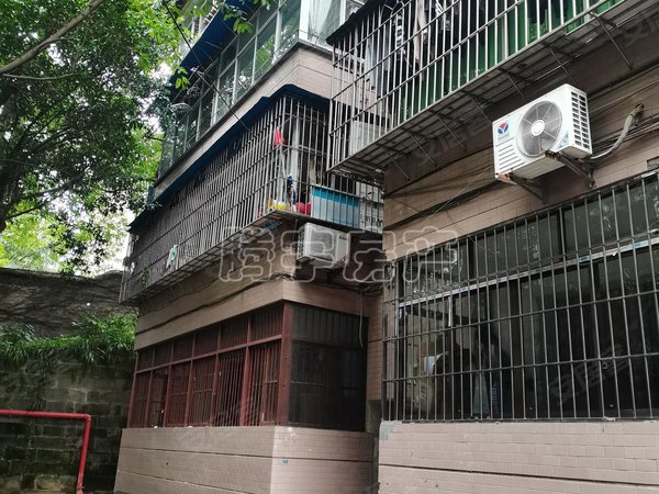 【多图】建行宿舍,涪陵高笋塘租房,建行宿舍 3室2厅1卫 南北通透 80平