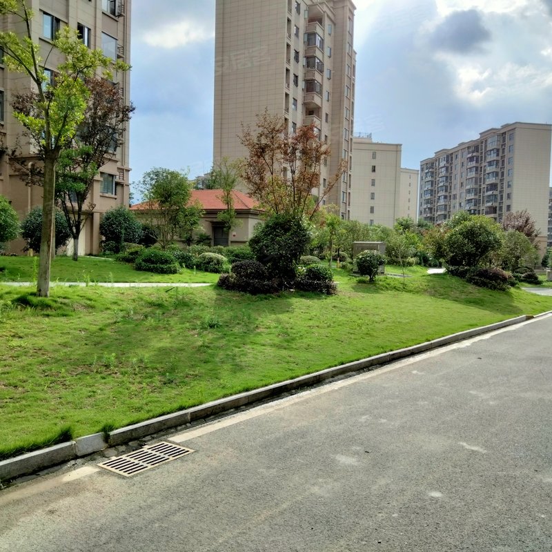 【随州碧桂园府河琴韵, 随州碧桂园府河琴韵小区专家解读页】- 随州58