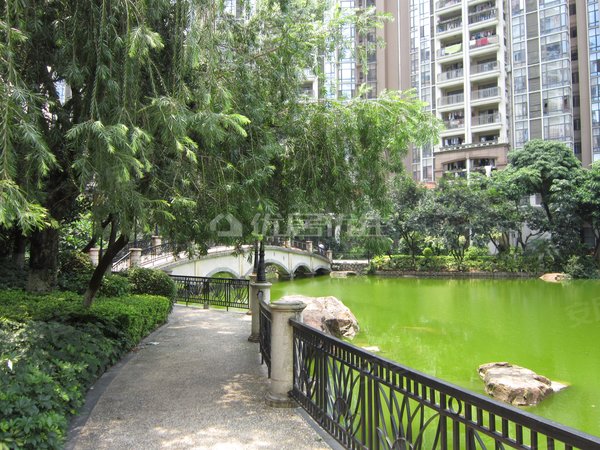 【多图】广州富力城,机场路租房,押二付一 精装 整租 广州富力城 3室