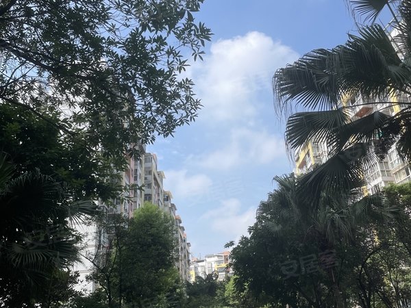 重庆渝北空港空港圣地空港广场轻轨房 空港圣地电梯两室1600出租,价格