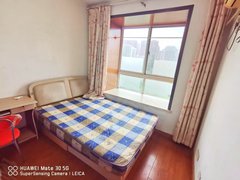 合肥政务市政务办公区短租 潜山路上 银泰城往北 实墙中卧实价490 绿怡居带电梯出租房源真实图片