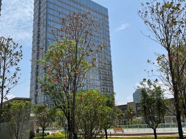 昆明呈贡老县城绿地东海岸35号地块(商住楼)沃尔玛旁 可季度付1室1厅