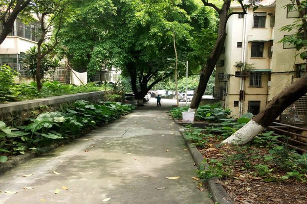 华南理工大学凤凰新村小区