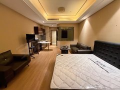 杭州拱墅东新整租大平层一房树兰对面 新天地地铁口 中大银泰出租房源真实图片