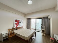 海口龙华国贸龙华路 龙昆北路 友谊阳光城 百汇城附近 电梯1房带阳台出租房源真实图片
