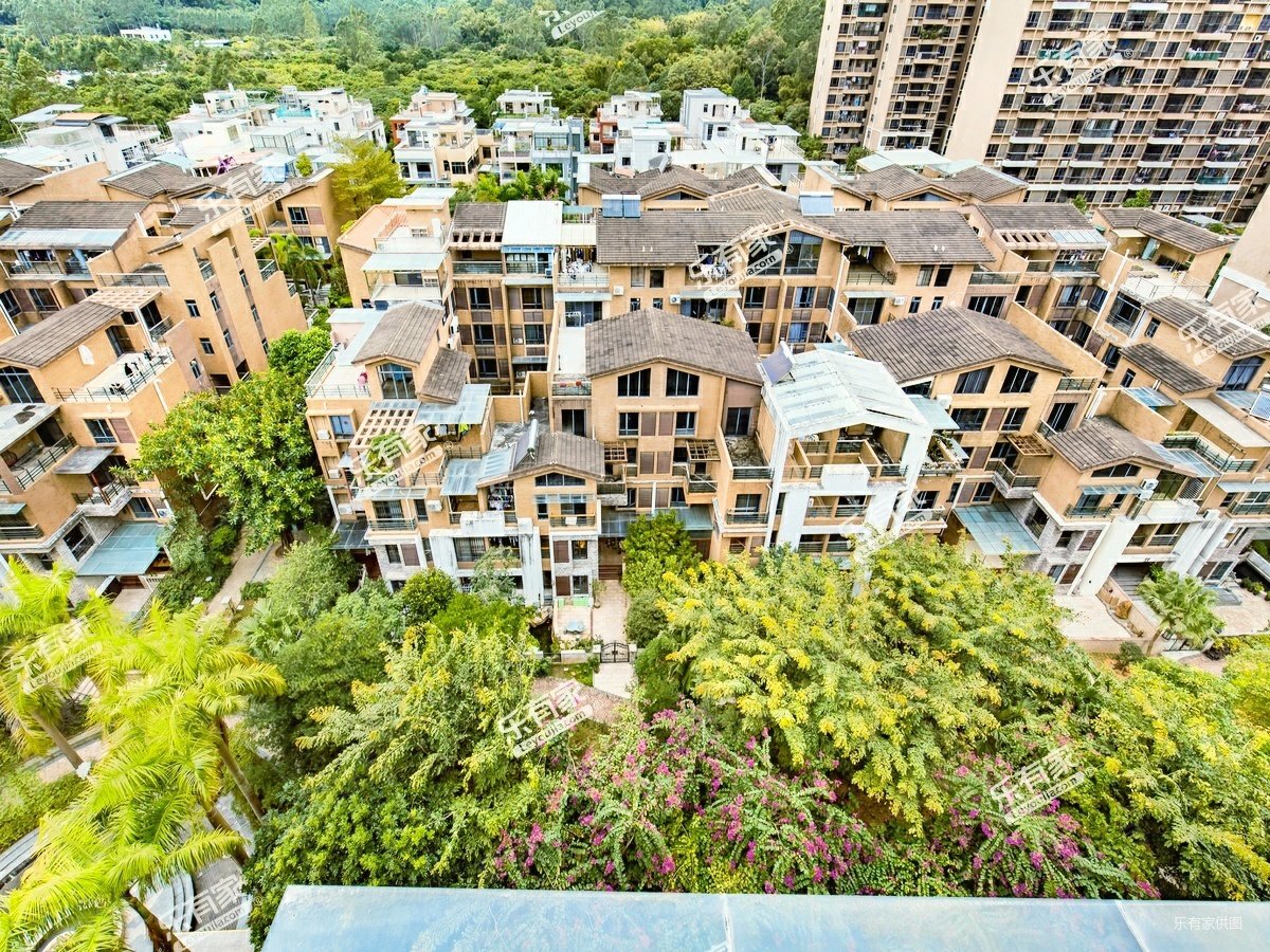 荔城花园精装南向3房满屋税费低无抵押过户快随时看房