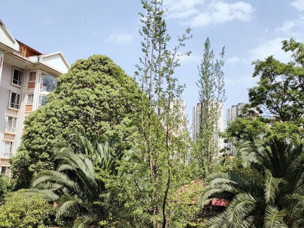 直租月付无中介金盾花园独立阳台广福城同仁医院南悦城