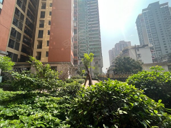 深圳罗湖蔡屋围幸福华府手机实拍发布 幸福华府一房一厅,高楼层,视野