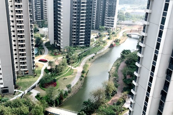 天悦湾老总_德悦集团老总照片