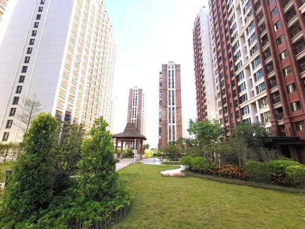 汕头龙湖高新区新华禧广场新上多套!