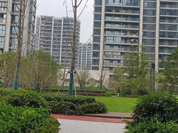 绍兴上虞百官云熙望府万达广场旁边云熙望府一线江景精装修出租拎包