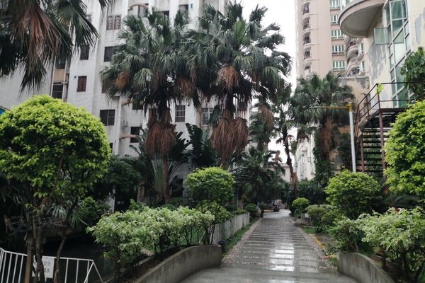 东莞小区 常平小区 天鹅湖小区 天鹅湖花园