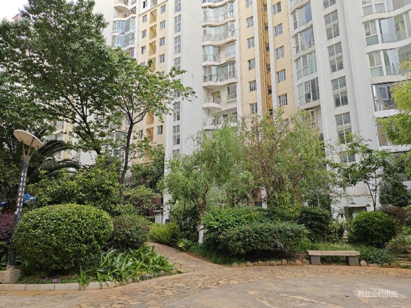 万达广场日新路鑫逸苑电梯房大平层前后大阳台人车