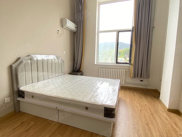 大连高新园区河口黄浦路海米公寓可押一付一 打折精装公寓实体墙电梯