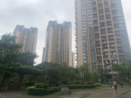 信义御城 一期 松茂路 近松柏路 深圳信义御城 一期 二手房 租房 深圳安居客