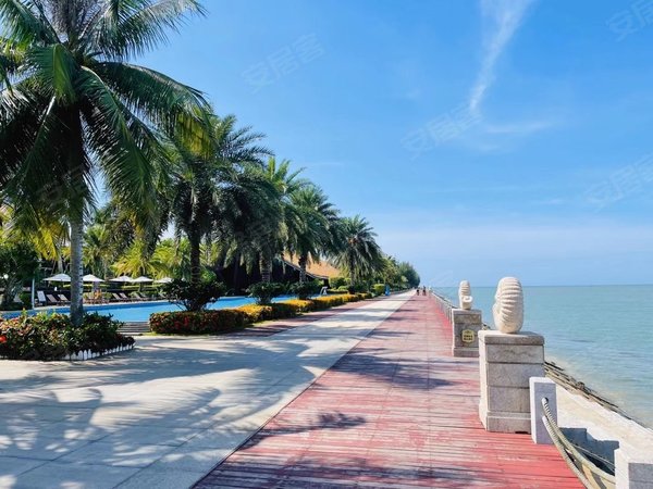 文昌平海逸龙湾逸龙湾 一房一厅 拎包入住 1000月 有电梯出租房源真实