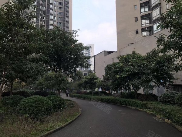 【多图】合川区江亭花园小区,合川区城南租房,江亭花园精装2房出租