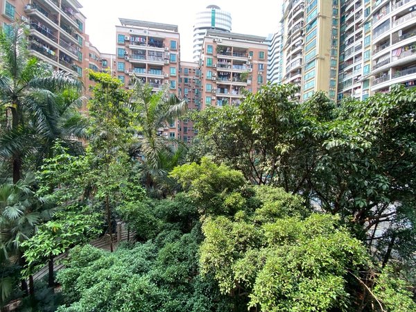 广州荔湾中山八路荔湖明苑荔湖明苑 精装二房 可做员工宿舍出租房源