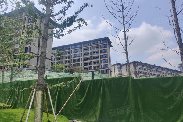 重庆小区 北碚小区 蔡家小区 金科博翠山麓 金科博翠山麓怎么样