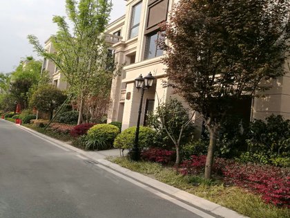保利两河森林别墅