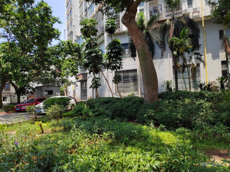 海口房产网>海口二手房>秀英二手房>海秀二手房>金湾花园>