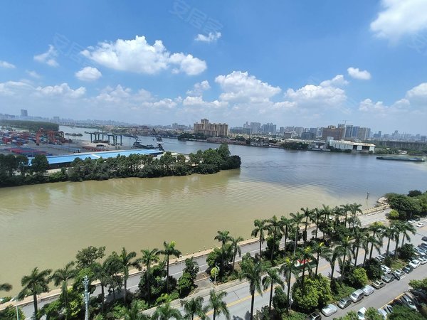 锦绣半岛 一线江景大4房 南北对流 高层视野开阔 看房方便,番禺租房
