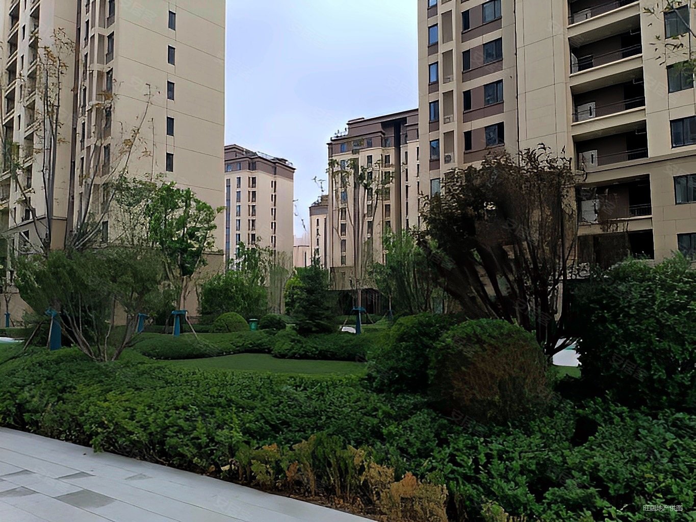 人气好房急了别划走大胆给价能谈中间楼层未来城