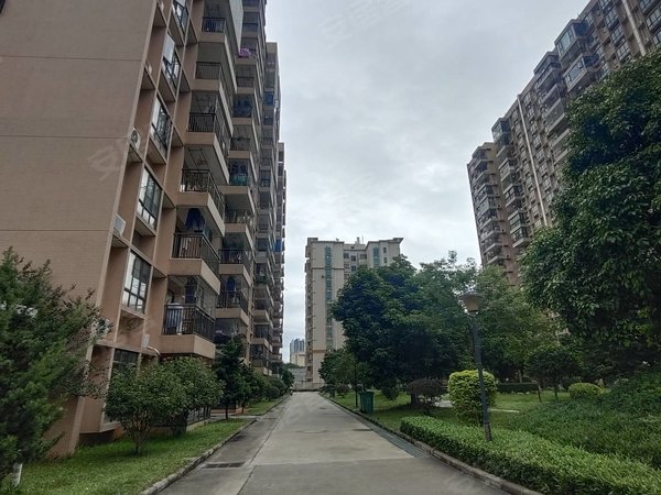 广州花都新区兴隆苑兴隆苑 电梯精致3房带入户花园 车位充足 拎包住