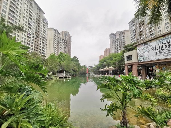 南宁青秀凤岭北荣和大地二组团阳光里推荐(靓房出租)荣和大地二组三房