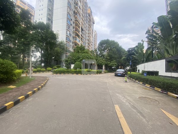 南宁青秀凤岭北凤岭名园凤岭北弥珍道 精装1房 仅2000 拎包入住 价格