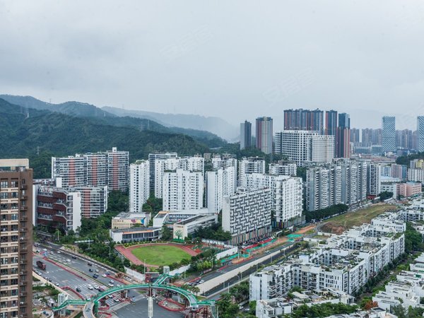 深圳龙岗坂田第五园三期万科第五园叠苑一楼 带地下室 带家私电器放租