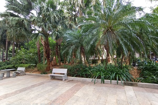 滨江花园,青年路103号 - 海口滨江花园二手房,租房,房价-海口安居客