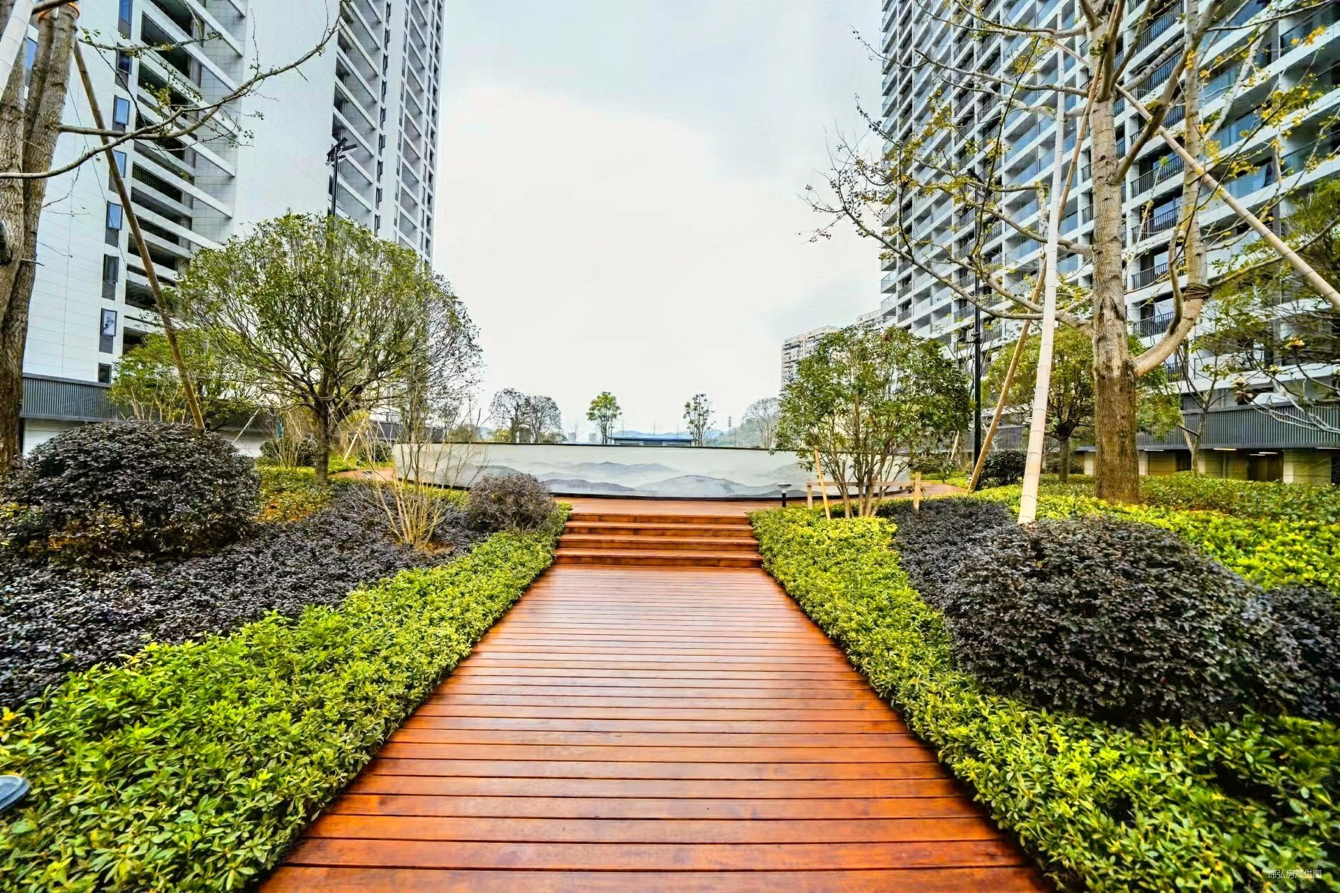 临安锦南新城核心位置浙江省医院临安院区边上地上集团开发