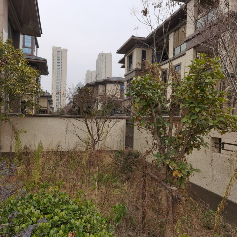 碧桂园德信衢州公馆别墅