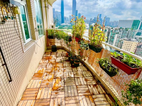 【多图】江畔华庭,滨江东租房,滨江东 望广州塔 景观夜色超美 精装