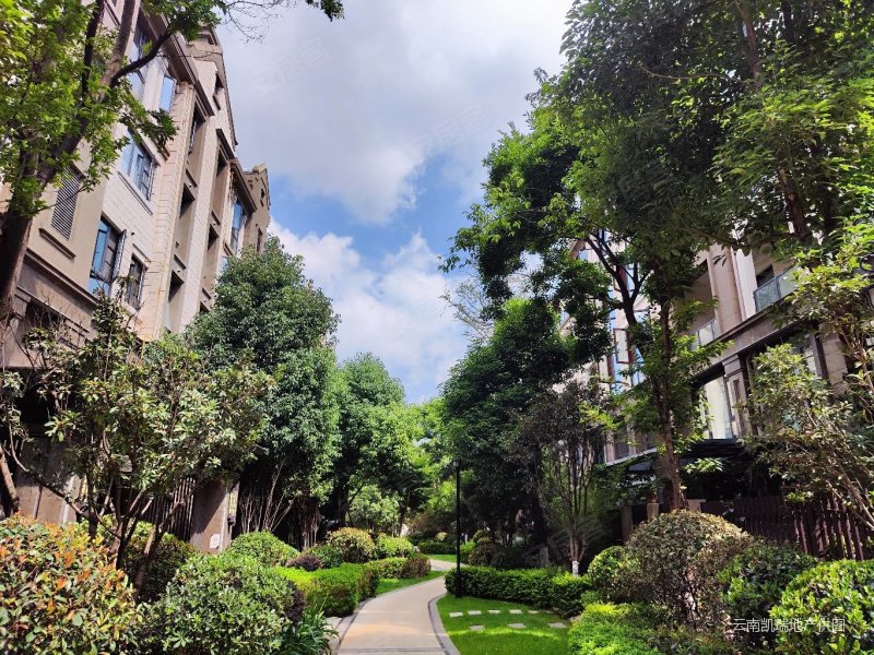 生态半岛联排端头 建面250平实得500平 花园160房东急