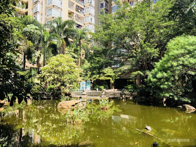 泓景花园 高层 广州塔景观3房2卫 诚意出售 景观好 户型靓