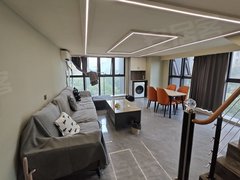 蚌埠蚌山新城区新上！栖湖朗廷复试精装公寓！上下两层100多！拎包入住出租房源真实图片