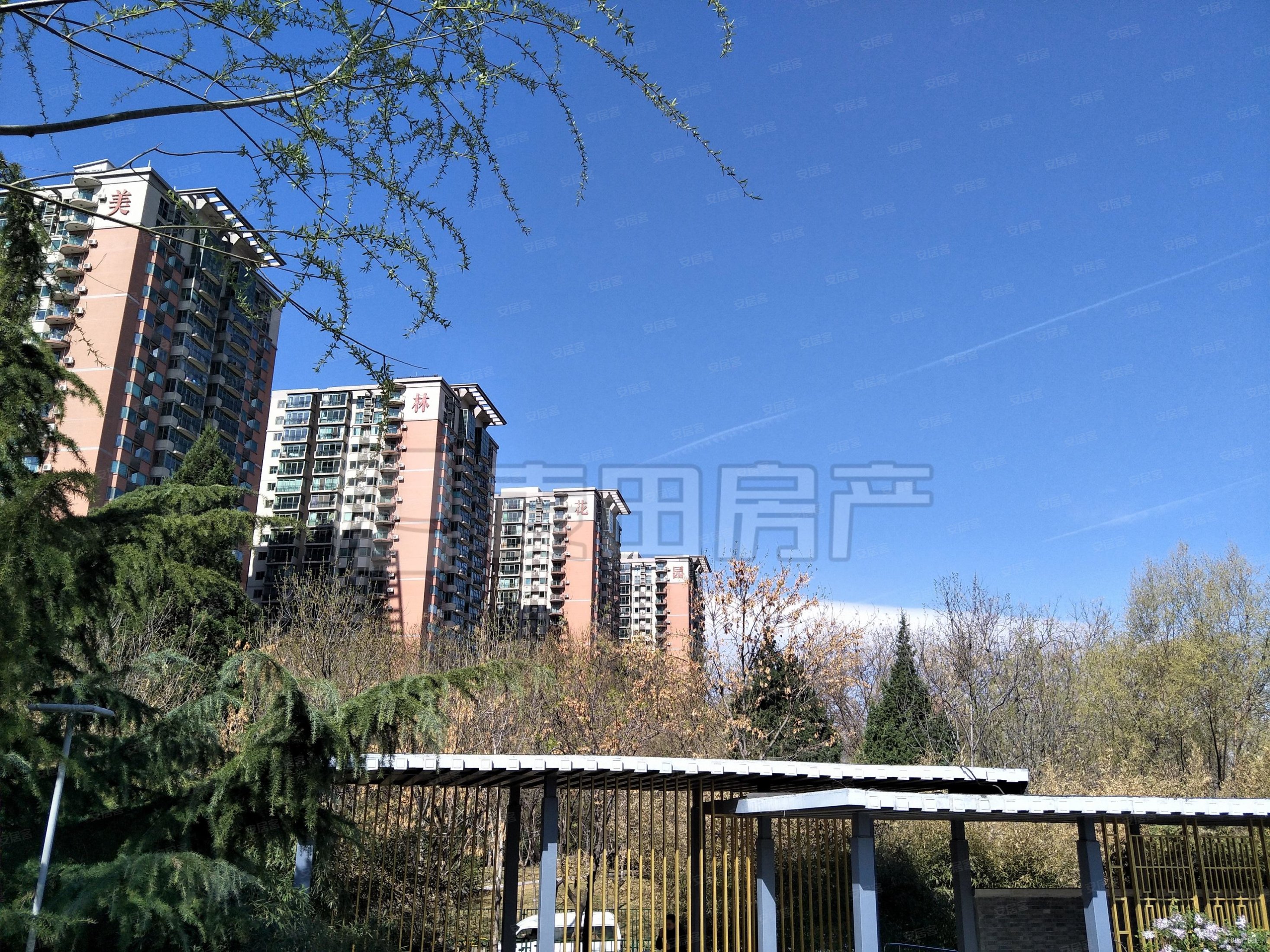 美林花园 南向大三居 视野开阔      超高性价比