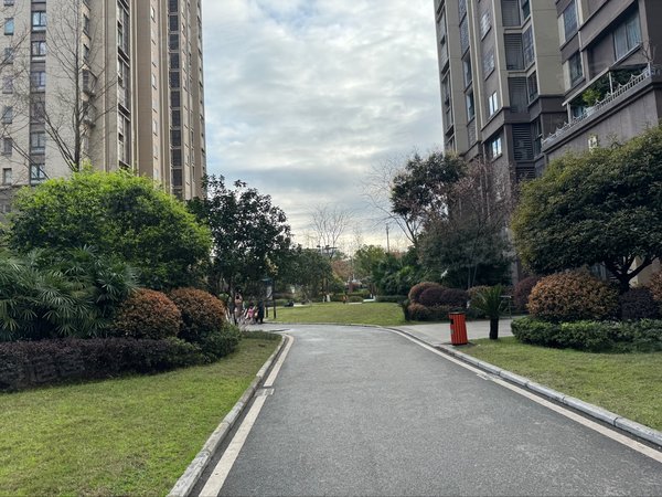 重庆合川合川区城南合川金科天籁城金科品质小区 临医院 火车站 校园