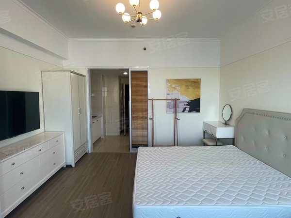 万达 地铁口 48克拉 高端公寓 全新装修 实拍出租房源真实图片