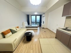 合肥滨湖新区万达文旅城万达银座精装婚房出租,漂亮小姐姐的必选,只租爱干净的有缘人出租房源真实图片