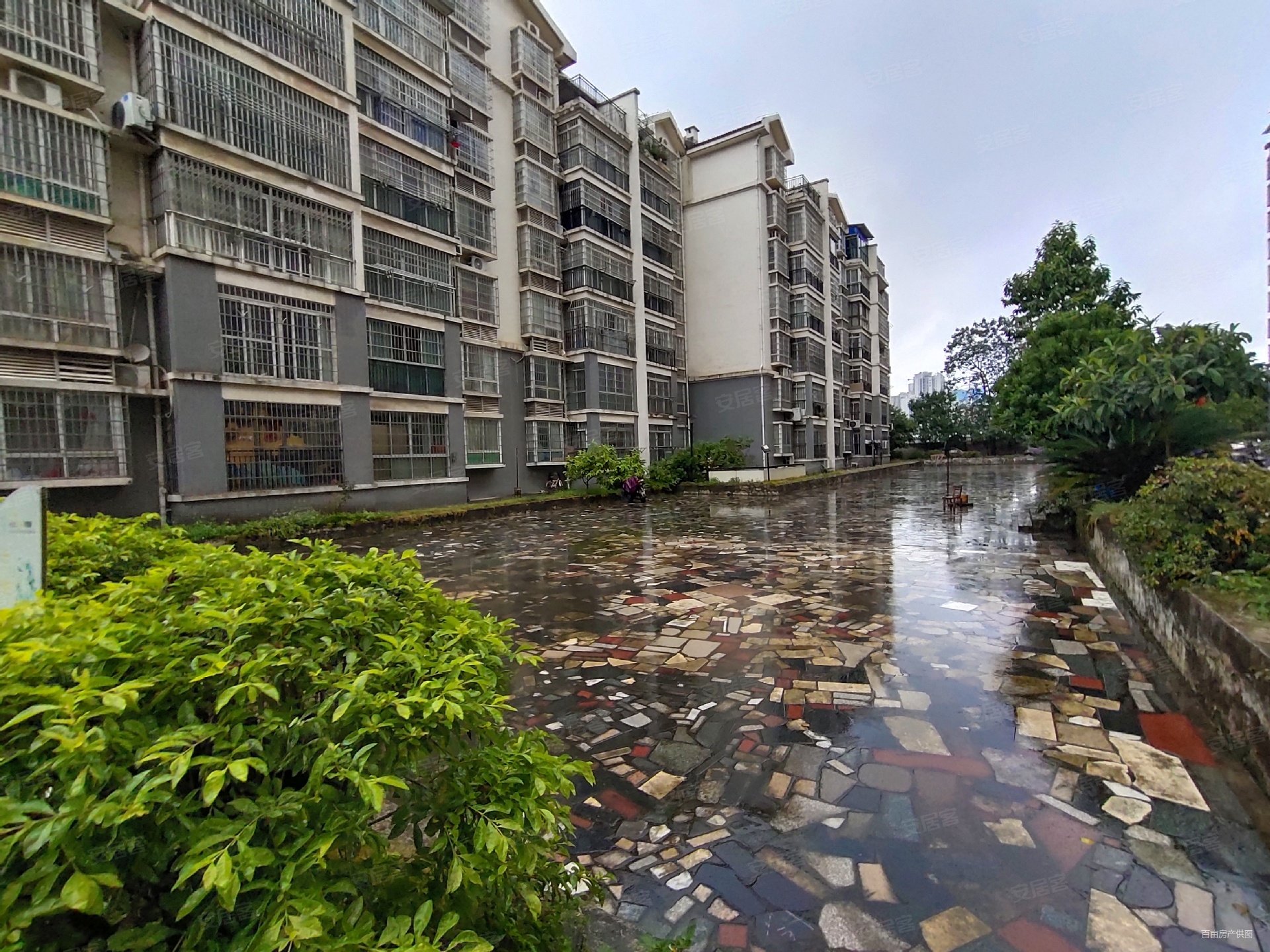 凯凌小苑3室2厅2卫127㎡南北66万