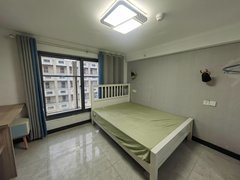 南京浦口高新区星火路地铁口 精装一室 民用水电 动漫大厦 医药股附近出租房源真实图片