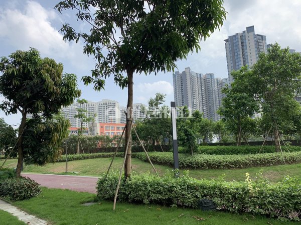 南宁兴宁区政府盛天小世界盛天小世界 3室2厅2卫 87平 电梯房 精装修