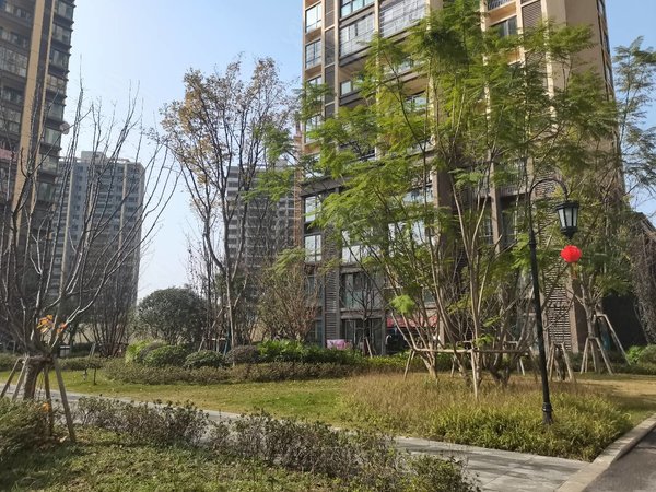 重庆荣昌荣昌城区金科泽科美丽郡小区电梯房,温馨小户型,环境好,成色