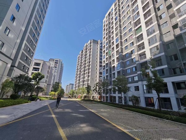 大东海中央府独门独户60精装两房一厅出租房源真实图片