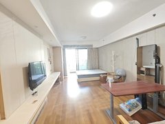 深圳大鹏新区大鹏大鹏kPR佳兆业公寓一房一厅拎包入住整租出租房源真实图片