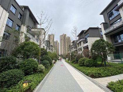 卓越青竹湖别墅