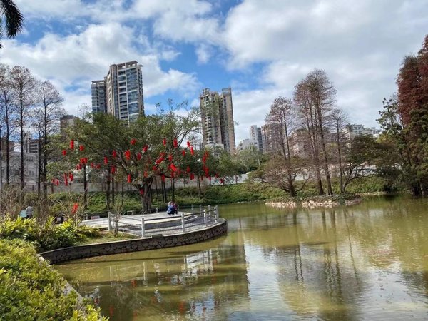 广州天河员村恒业大厦双地铁 光线好通透电梯大2室2厅 拎包入住  现代